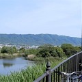 写真: 恩智川・池島の遊水池公園と弥生橋