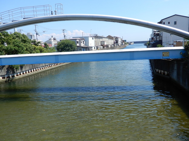 写真: 719新湊川（駒栄橋から河口方向を望む）