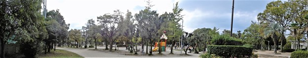 豊島公園 (5)