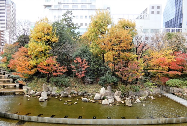 写真: 新梅田シティの中自然の紅葉