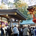 写真: 枚岡神社拝殿前2022