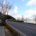 写真: 琵琶湖方向（北方面）を望む