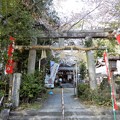 写真: 熊野若王子神社 (2)