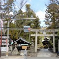 岡崎神社 (1)
