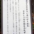 井上公園 (7)・三条実美歌碑副碑