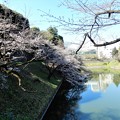 10田安門の前の橋から堀の桜を見る (2)
