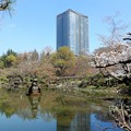 Photos: 25日比谷公園 ・鶴の噴水
