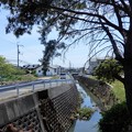 写真: 秋篠川支流の上流