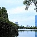 大阪城公園 (2)