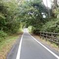 奈良自転車道 (2)