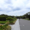 写真: 大阪城公園