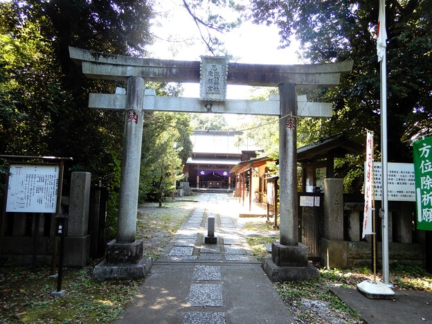 13諏訪神社・東照宮 (3)