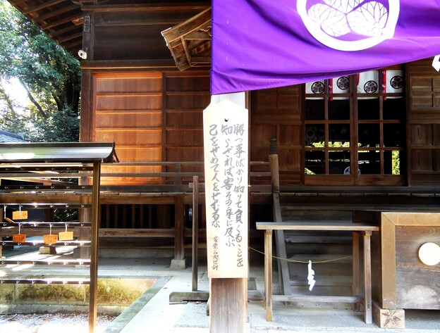 写真: 13諏訪神社・東照宮 (5)