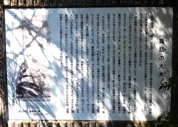 写真: 13諏訪神社・東照宮 (7)