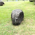 Photos: 花園中央公園のカバ石