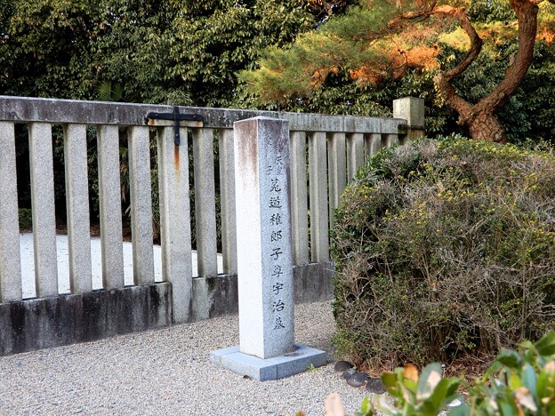菟道稚郎子皇子墓 (2)