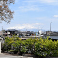 写真: 鳥海山（山居倉庫前から撮影）