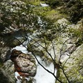写真: 春の小田深山渓流