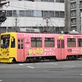 写真: 【鹿児島市電】9500形 9509号車(ナンワエナジーラッピング車両)