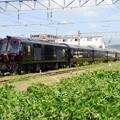 写真: 【JR九州】DF200-7000+77系客車(ななつ星in九州)
