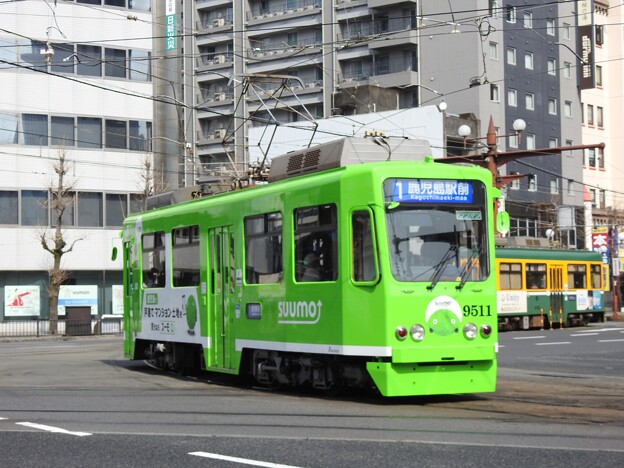 写真: 【鹿児島市電】9500形　9511号車(SUUMOラッピング車両)
