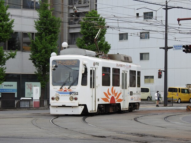 写真: 【鹿児島市電】9700形　9702号車(さんふらわあラッピング車両)