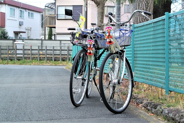 写真: 珍種・私と家内の自転車