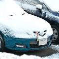写真: 雪の日の絶滅危惧種・愛車