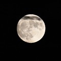 写真: 8月11日19時11分の満月