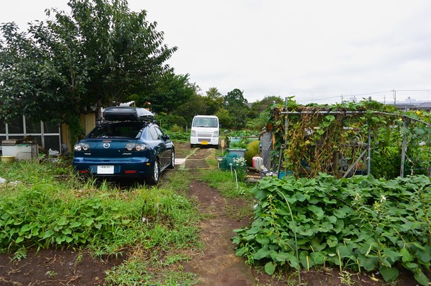 菜園・私の愛車とオーナーさんの軽トラ