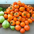 写真: 菜園・頂き物の冬柿（甘い）