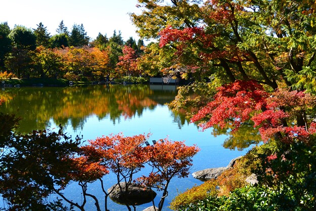 昭和記念公園・日本庭園