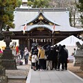 写真: 八坂神社・初詣