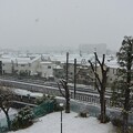 写真: 我家のベランダより・・PM 3時より降り出した雪
