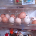 写真: 烏骨鶏の卵