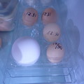 写真: 小さな卵