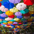 写真: 日傘