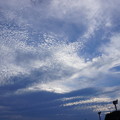 写真: 雲、いろいろ