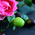 写真: Roses-and-fruits