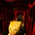 写真: 夜の日枝神社