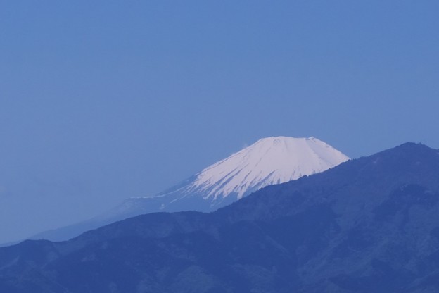 写真: 2021.04.26　駅前　富士山