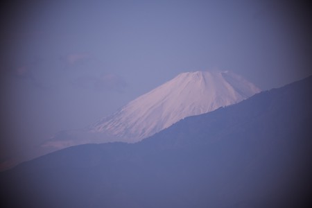 2021.12.12　追分市民の森　霞む富士山
