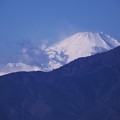 写真: 2021.12.27　瀬谷市民の森　富士山