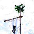 写真: 2022.01.02　和泉川　祭礼用幟旗