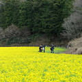 写真: 2022.03.21　追分市民の森　ナノハナ　記念撮影