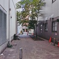 写真: 2022.12.04　東京　路地裏　ビルの谷間に新聞