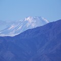 Photos: 2023.12.04　瀬谷市民の森　富士山