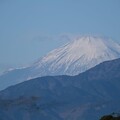 写真: 2024.01.16　駅前　富士山