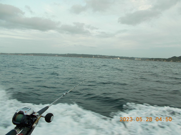写真: 根魚・イサキのリレー釣り