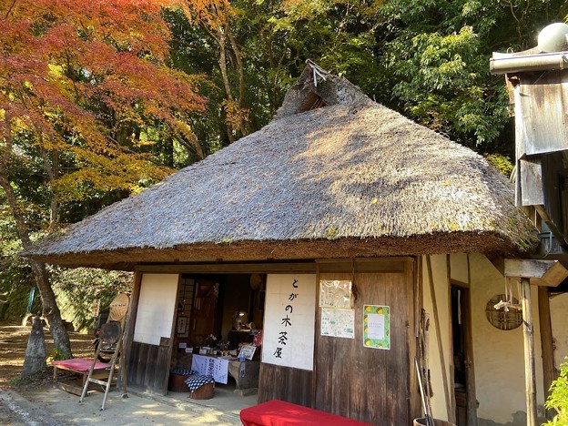 とがの木茶屋　熊野古道　3